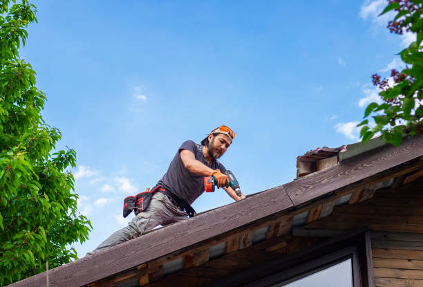 Best Roof Moss and Algae Removal  in Chain Lake, WA